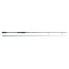 Savage Gear SGS2 Long Casting 2.90m MF 10-40g MH
