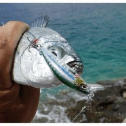 Savage Gear Gravity Minnow 5cm 8g Fast Sinking Sayoris PHP -Savage Gear Verkaufsgeschäft sgk227 1 550x550 1