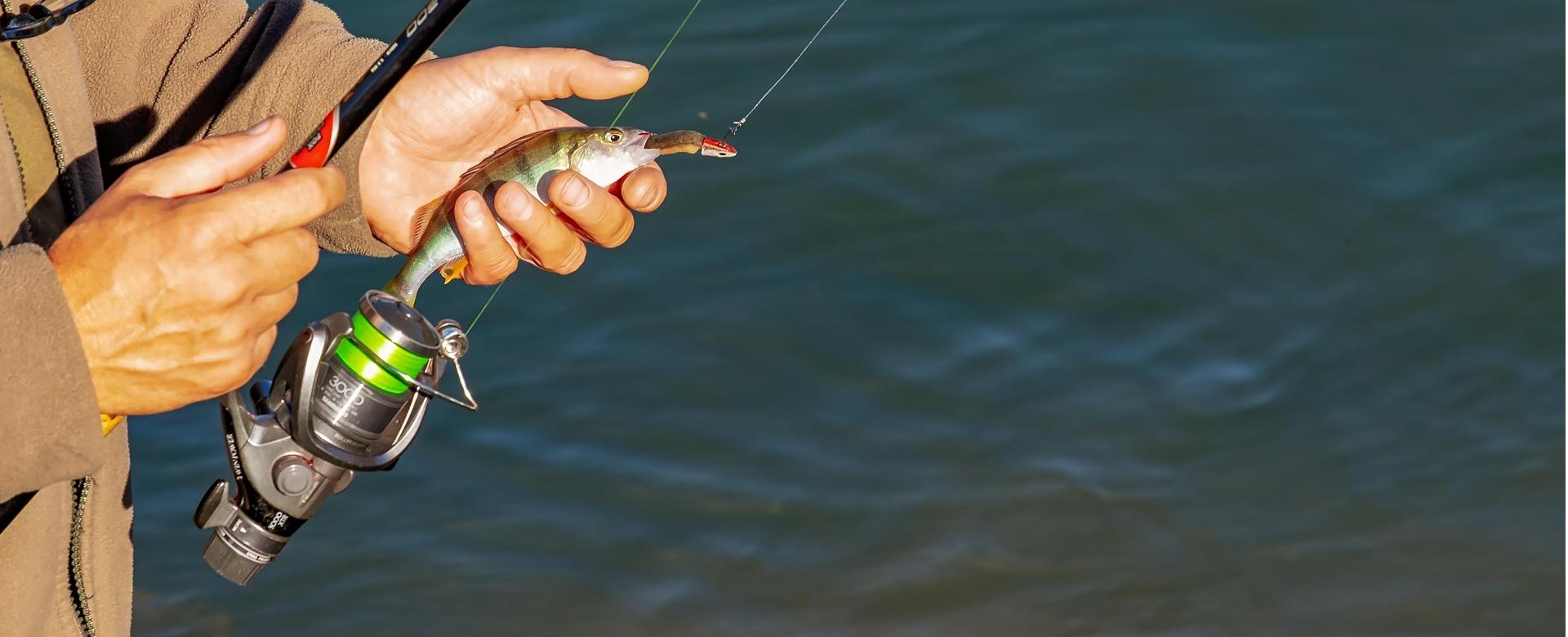 Savage Gear Verkaufsgeschäft -Savage Gear Verkaufsgeschäft angler 3778880 1920