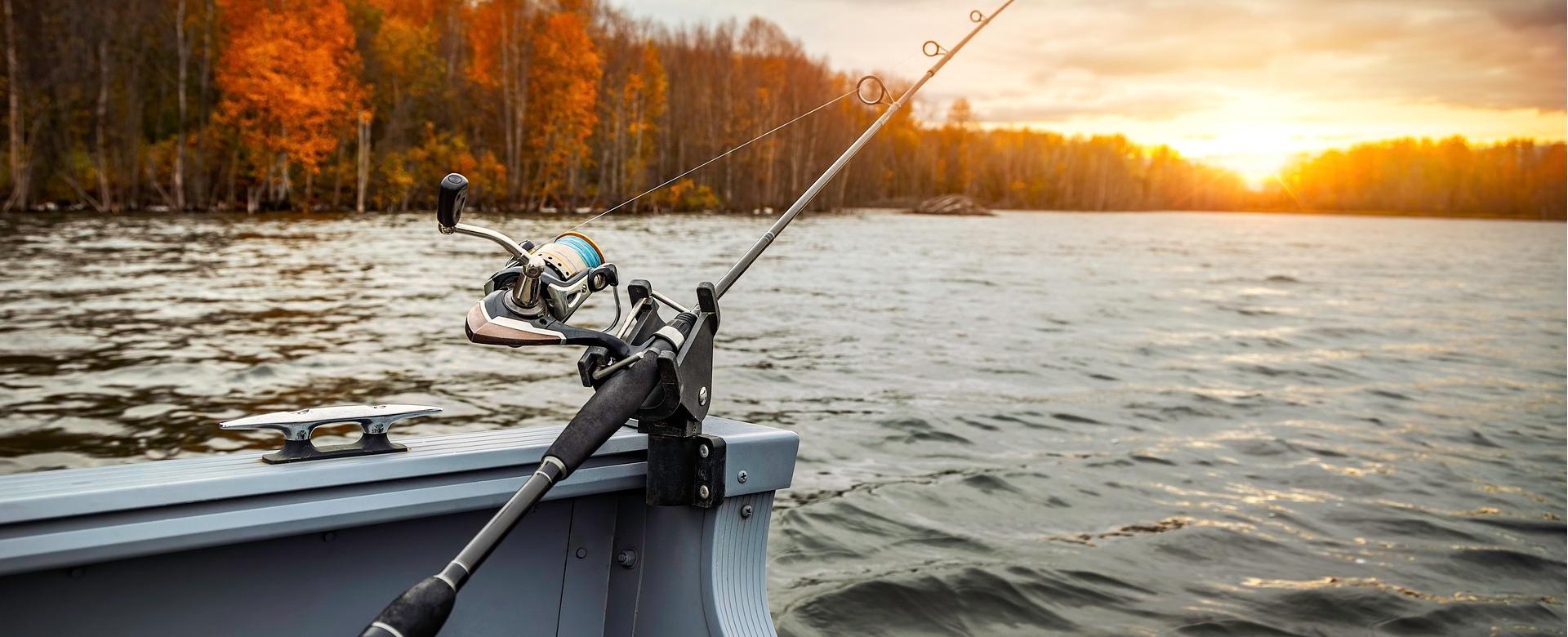 Savage Gear Verkaufsgeschäft -Savage Gear Verkaufsgeschäft fishing boat 5541327 1920